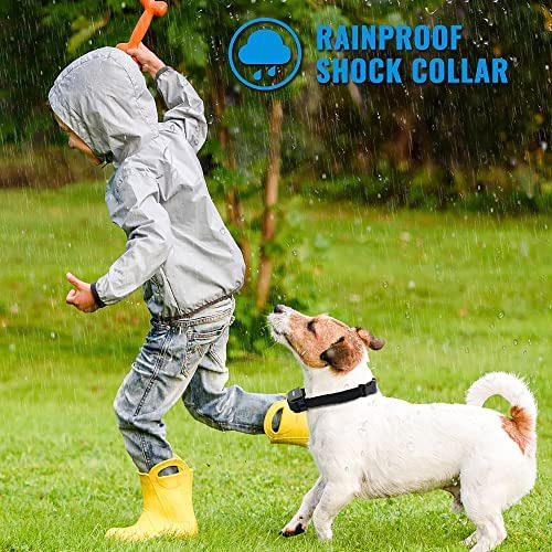 Petrainer Pet998drb2 Collar De Entrenamiento Para Perros Con