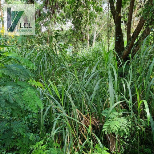 Imagem 13 de 17 de Terreno À Venda, 704 M² Por R$ 600.000,00 - Parque Ipê - São Paulo/sp - Te0001