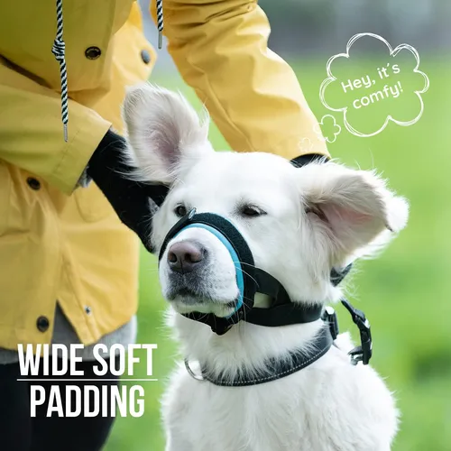 Good boy dog muzzle hotsell