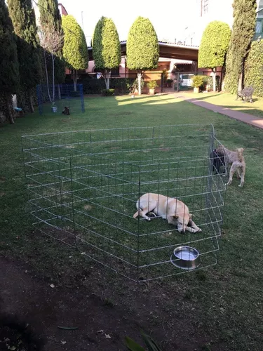 Recintos cerrados en el jardín para perros 
