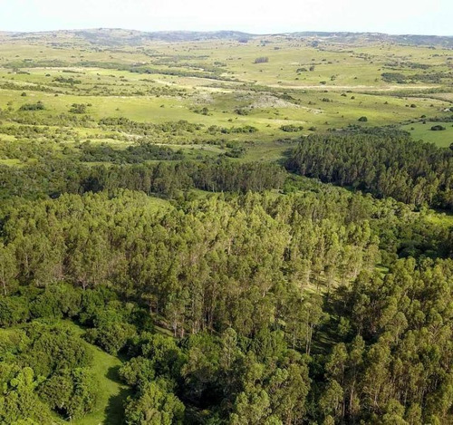 Campo En Venta