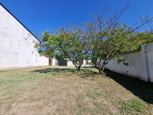 Imagen 8 de 13 de 600 M2 Con Muros Y Gran Piscina. Los Tucanes