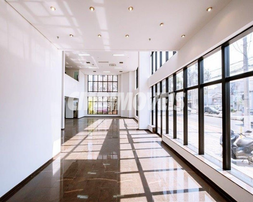 Imagem 4 de 7 de Salão Comercial À Venda Na Vila Itapura Em Campinas - Sa04504 - Sl03719 - 71012866