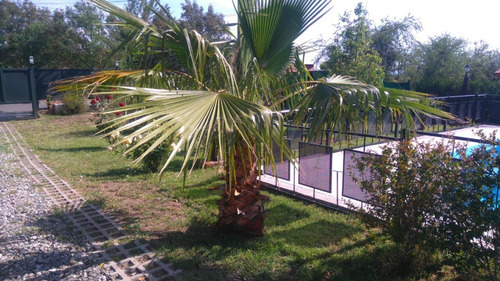 Imagen 16 de 25 de Villa De Merlo - San Luis. Casa Con Pileta De Uso Exclusivo