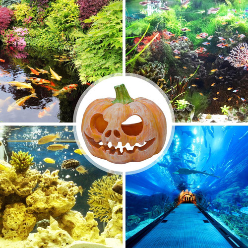Decoraciones De Acuario De Calabaza Adornos De Acuario De Ca