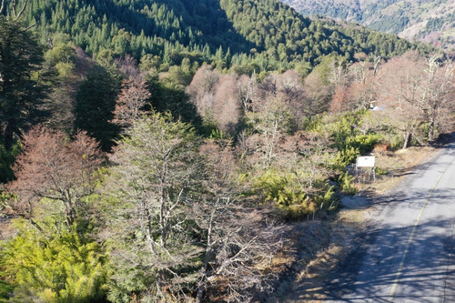 Terreno De 5.000 M2 Camino A Corralco, Malalcahuello