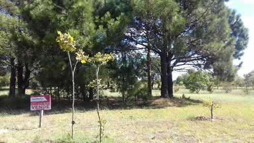 Terreno En Venta En Fraccion Iii