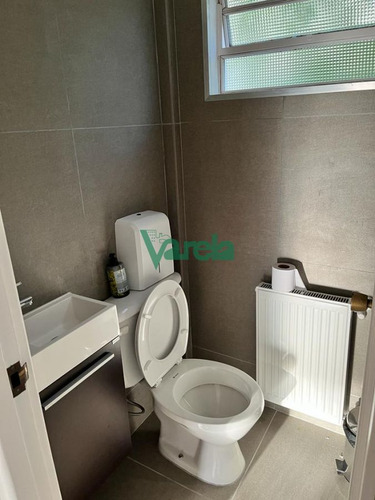 Imagen 9 de 30 de Venta Casa, Punta Carretas, Casi Golf, Ideal Empresa Reciclada A Nuevo!!!!