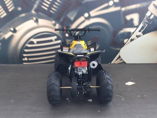 Imagem 7 de 8 de Mini Thor 90cc (novo)