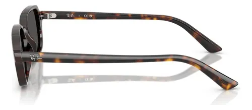 Óculos de sol Ray-ban Zuri Rb445513598749 Carey Color