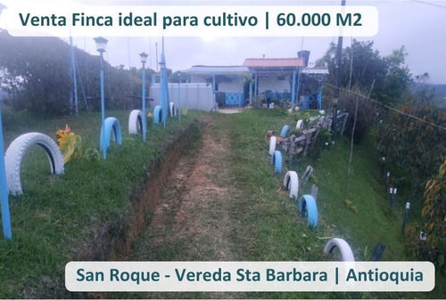 Venta Finca En San Roque Vereda Santa Barbara 