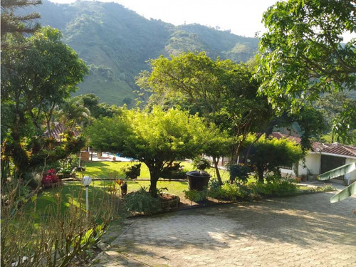 Venta Finca Amaga Con Pesebreras 30720 M²