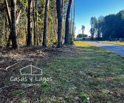 Venta Parcela 5.000m2 Condominio Las Tranqueras Puerto Varas