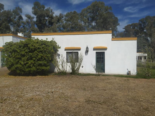 Campo C/ Caballerizas Y Casa Colonial - Villa Elisa