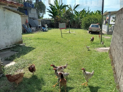 Imagem 8 de 14 de Casa Venda Caraguatatuba - Sp - Morro Do Algodão - 4183