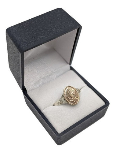 Anillo Licenciada En Enfermeria Plata Y Oro