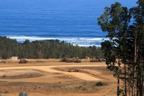 Imagen 2 de 21 de Condominio Alto Morro / Punta Lobos