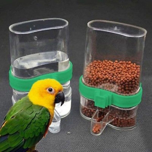 Dispensador Automático De Comida Para Pájaros Cockatiel Bird