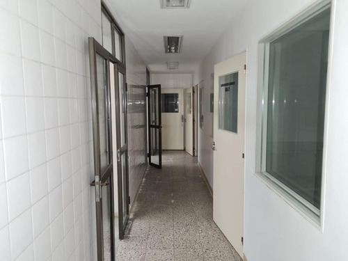 Imagen 8 de 21 de Galpón Losa 370 M² Cub C/ Oficinas, Baños Y Vestuarios - Alquilado Con Renta - Ciudadela
