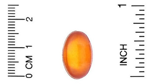 Imagem 3 de 4 de Dha De Algas Marinhas (ômega 3 Vegetariano) 200mg, 60cáps