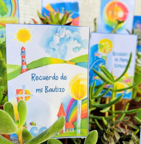 Recuerdos Cactus Y Sucus, Toda Ocasión, Valor Cada Unidad