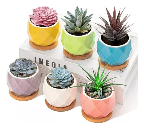 Conjunto De 6 Macetas Pequeñas Para Suculentas - Mini Maceta