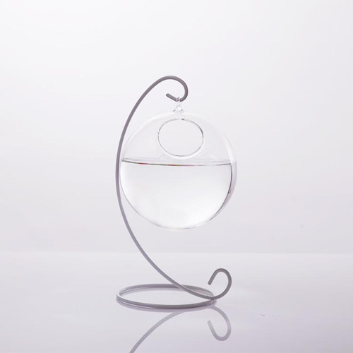 Forma De Pendurado Na Parede Vaso De Flores Planta Garrafa