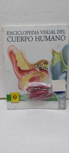 Libro Enciclopedia Visual Del Cuerpo Humano Oídos Y Cuello 9