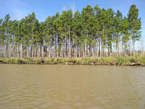 Imagen 3 de 14 de Muy Buena Quinta - Zona Delta San Fernando