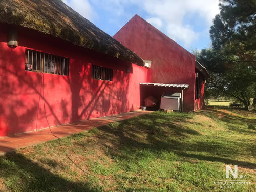 San Carlos_quinta De Medina