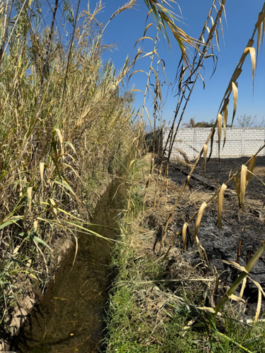 Terreno En Venta Oaxtepec Morelos