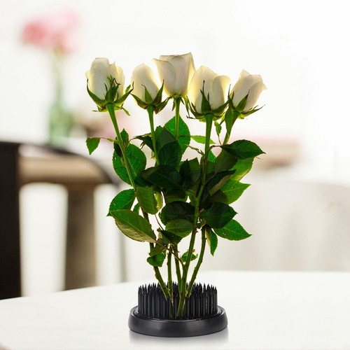 60mm Aguja Ikebana Kenzan Redonda Negra Aguja Negra Redonda Ikebana Kenzan Flor Pin Decoraci/ón Floral Herramienta de arreglo Fijo