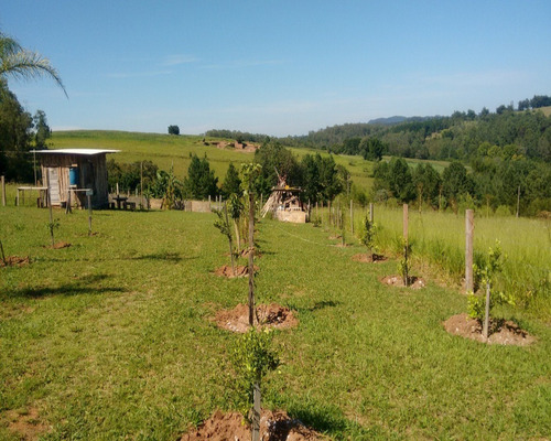 Chácara 1.320 M² - Mato Fino - Gravataí - Rs - 1351 - 32419872