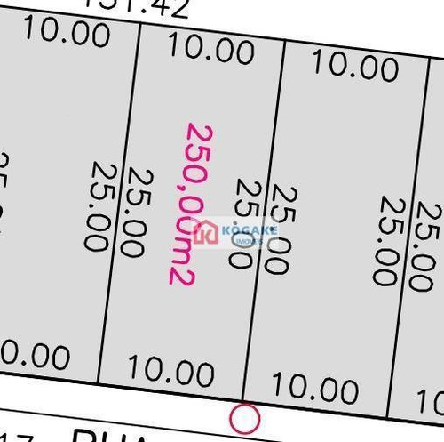 Imagem 1 de 1 de Terreno À Venda, 250 M² Por R$ 272.250,00 - Putim - São José Dos Campos/sp - Te1641