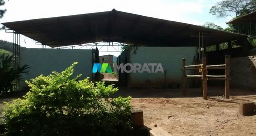 Imagem 5 de 5 de Fazenda - Zona Rural - Ref: 3061 - V-mta3061