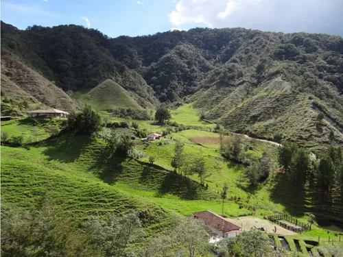 Finca En Venta La Unión Via Abejorral Antioquia. 83 Hectareas