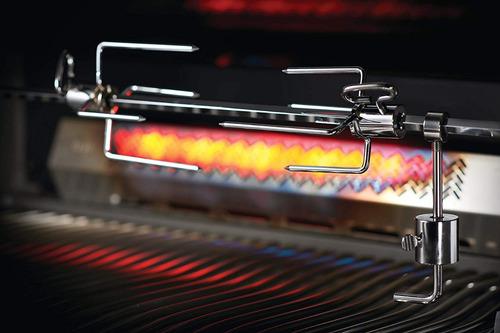 Parrilla Gas Natural Premiun Portatil Color Plata Napoleon