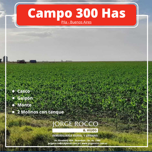 Campo En Venta En Pila. 300 Has. Mixto
