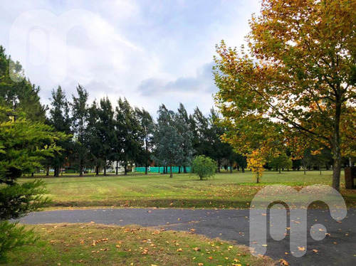 Imagen 4 de 10 de Venta Terreno - Club Miralagos