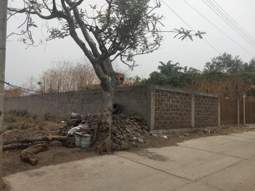 Imagen 4 de 10 de Terreno En Venta Pazulco