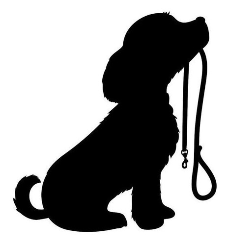 Imagen 3 de 7 de Guardería/pensionado Canino Familiar En La Blanqueada