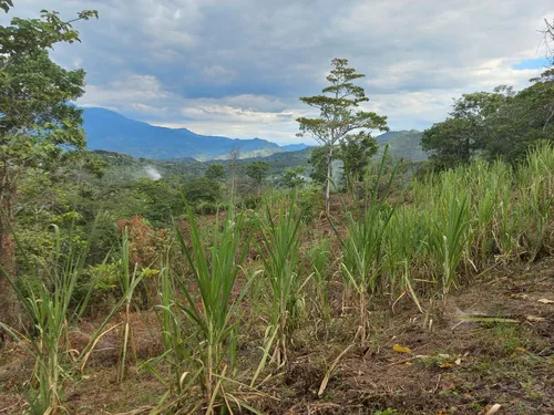 Venta De Lote En Villeta, Vereda Cune