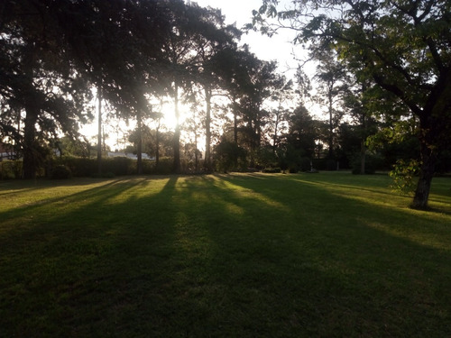 Imagen 6 de 14 de Quinta Con Gran Extensión De Parque. Nuevas Fechas.