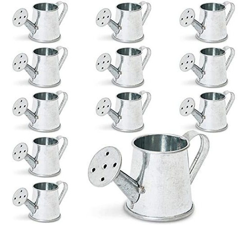 Mini Regadera Galvanizada 12-pack, Decorativa Para