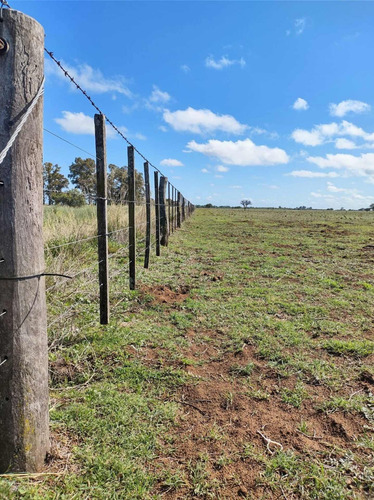 Imagen 5 de 19 de Campo De 95 Has En Ataliva Roca -la Pampa