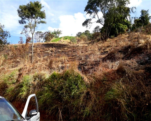 Imagem 1 de 2 de Terreno À Venda Em Mairiporã/sp - 1047 - 34968781