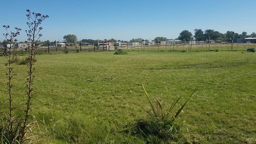 Imagen 8 de 15 de Fracción De Terreno 5.004,40 M2 En Venta Guernica