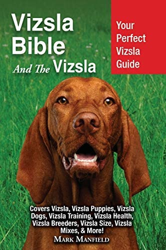 Libro: Vizsla Bible And The Vizsla: Your Perfect Vizsla &