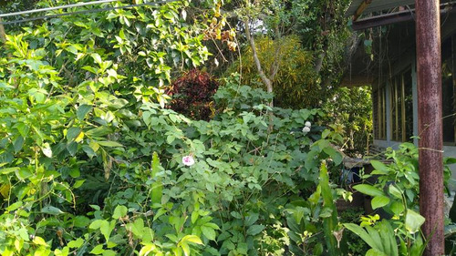 Venta Terreno 207.05 M² Colonia Azteca Tuxpan Veracruz
