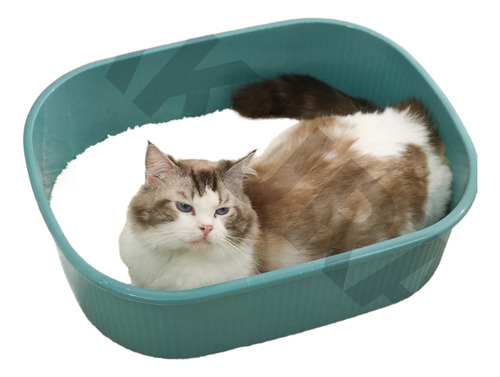 5pcs Arena Para Gatos Biodegradable Con Tofu Vegetal 6l